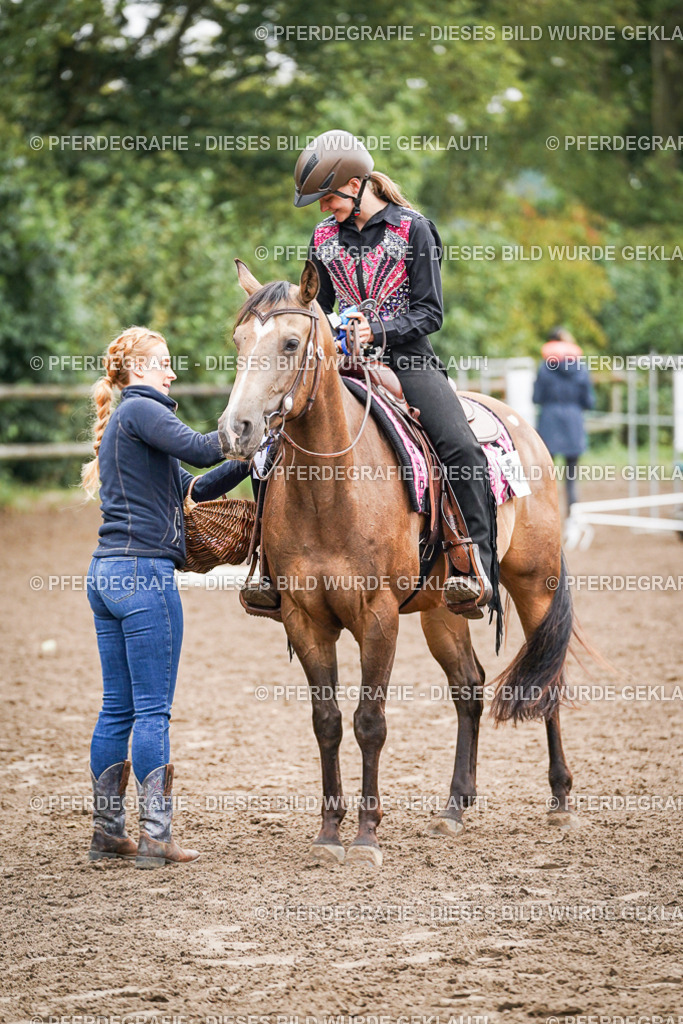 DSC02687 | Pferdegrafie