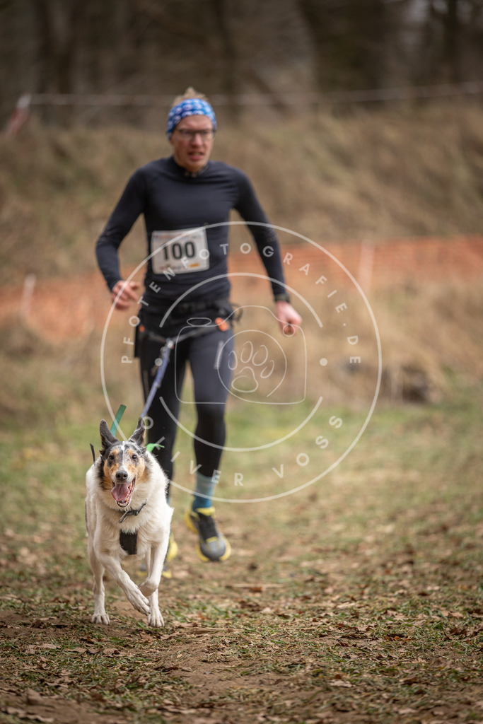 Pfotenfotografie_DV3A7436 | Hundefotografie, Tierfotograf, Pfotenfotografie, Fotoshooting Hund, Hunde Portrait, Hundesport, Hundeportraits, Heideshooting, Hunde, Sportfotograf, Hundefotograf, Turnierhundsport, THS,  - Realisiert mit Pictrs.com