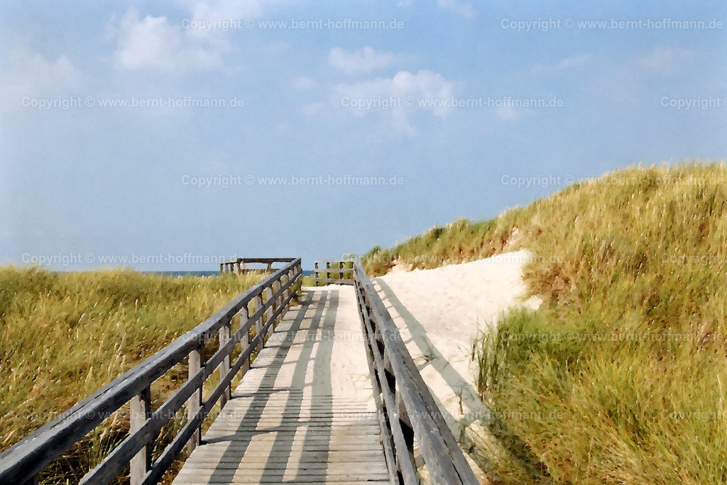 PDM2_2603_Kampen-Duenenweg_180x120 | DIGITALKUNST. Dünenweg zum Strand. __ Holzbohlenweg mit Dünengras in Kampen auf der Insel Sylt. - Realisiert mit Pictrs.com