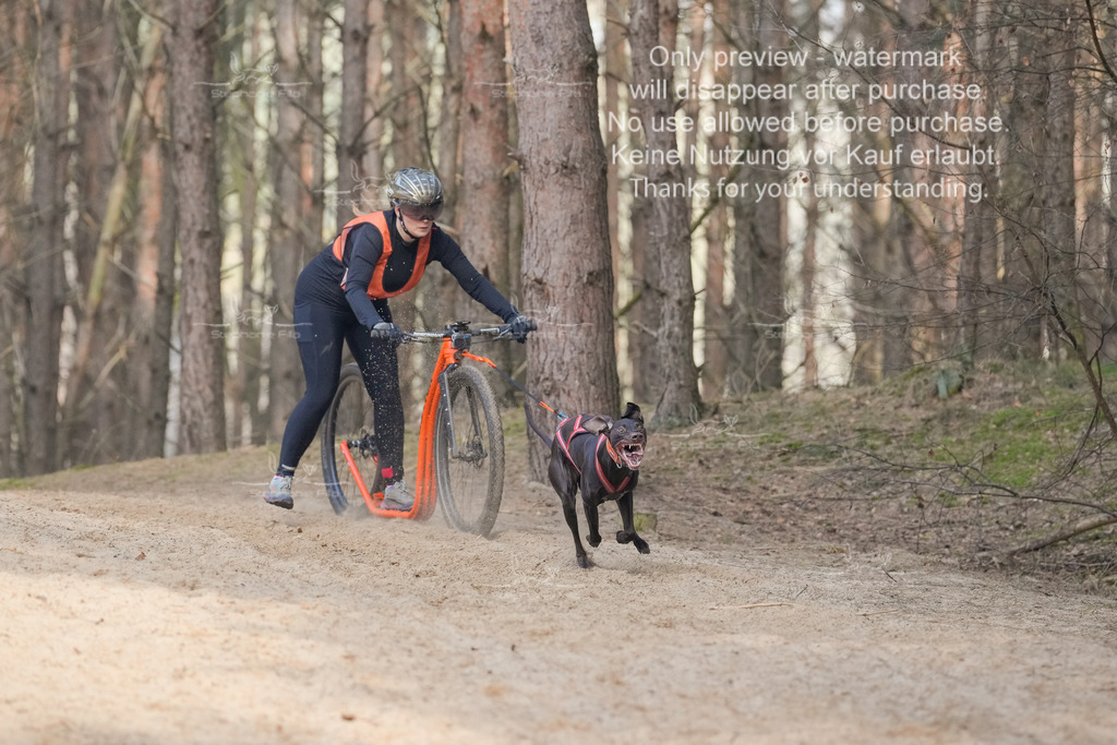 Scooter2-25 | stephaniefillaphotographie - Realisiert mit Pictrs.com