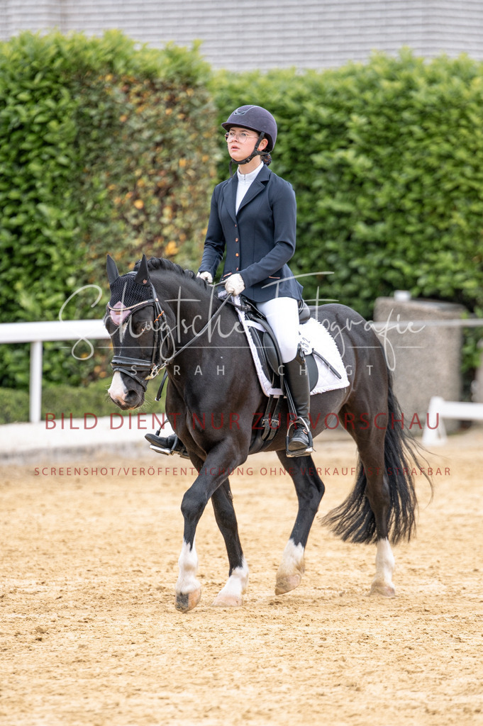 Schugtsche-Aluta25-40.DressurprfA_-477 | Schugtsche Fotografie - Realisiert mit Pictrs.com