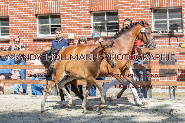 IMG_4875 | mandyhollmannphotographie