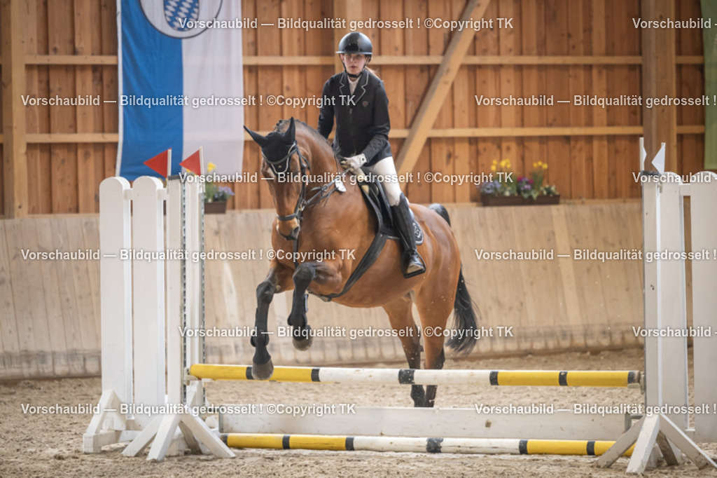 _D5A0047 | Emotionale Pferde- & People-Fotografie rund um Heidelberg, Leimen & Umgebung. Natürliche Fotos von Pferd, Mensch & Familie. Jetzt Termin sichern!