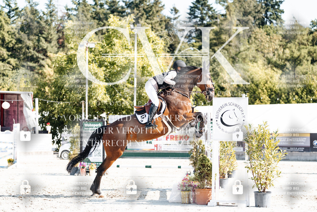 CK902221 | Turnierfotografie Pferdefotografie Trier Rheinland-Pfalz Pferdesport Reitsport Tierfotografie Sportfotografie Pferdevideo Pferdevideografie Equestrianvideography equestrianphotography  - Realisiert mit Pictrs.com