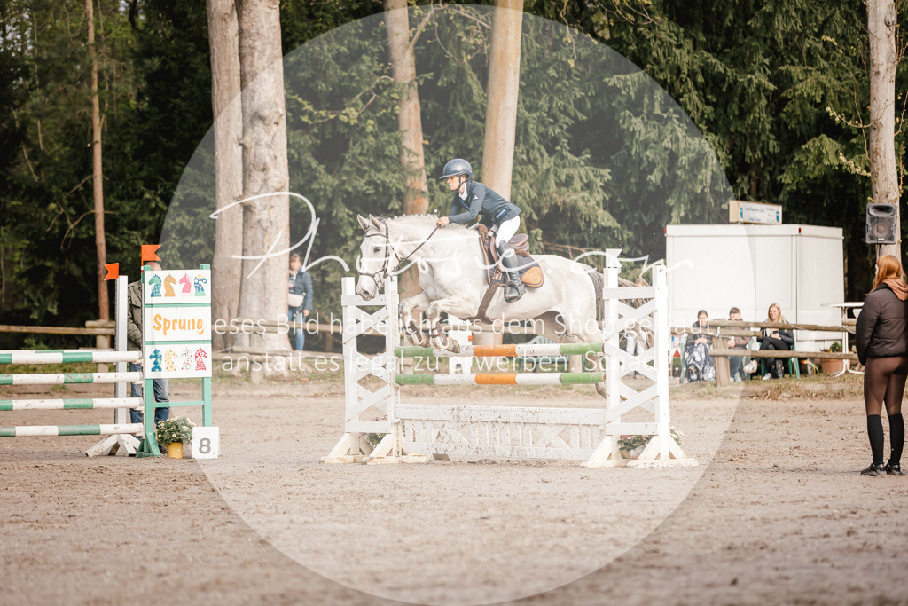 3I6A3375 | Stimmungsvolle Portraits und Reitsportfotografie im Ruhrgebiet und im Münsterland.

Pferdefotografie, Hundefotografie, Tierfotografie, Reportagen, Portraits von Tier und Mensch, Turnierfotografie in Bochum, Recklinghausen, Marl, Haltern am See, Dülmen.. - Realisiert mit Pictrs.com