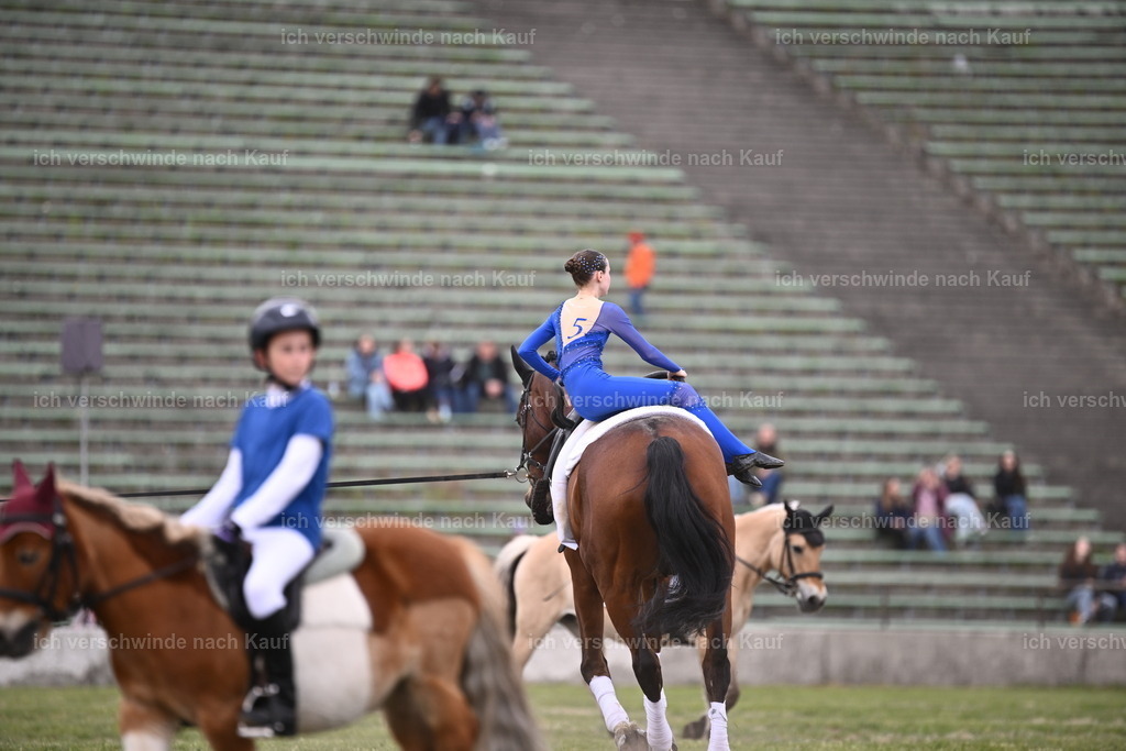 PI26_Show_Sara_Landvogt_226_1667.JPG | working equitationturnier fotograf videograf stoibphotography marixx film working equitation deutschland reitsport turnierfotografie eventfotografie equestrian events