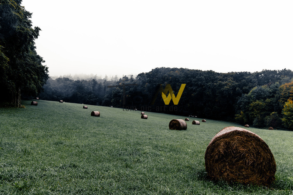 Heuballen auf einer Waldlichtung in düsterer Atmosphäre | Das Bild zeigt eine ländliche Szene mit Heuballen auf einer grünen Wiese.Mehrere runde Heuballen liegen auf einem abfallenden Feld.Das Feld ist von einem dunklen Wald umgeben, der im Hintergrund in Nebel gehüllt ist.Die Szene wirkt ruhig und herbstlich.In der unteren rechten Ecke ist ein großer Heuballen im Vordergrund zu sehen. - Realisiert mit Pictrs.com