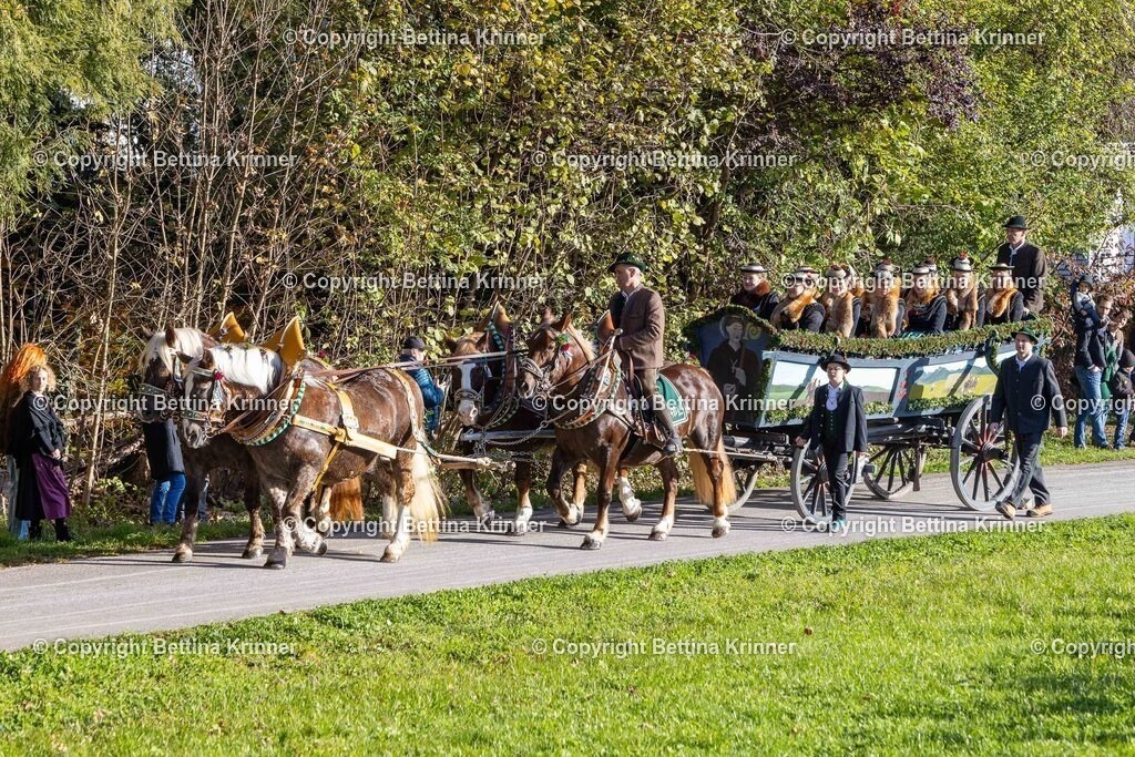 LBT24-86 | foto-bettina-krinner - Realisiert mit Pictrs.com