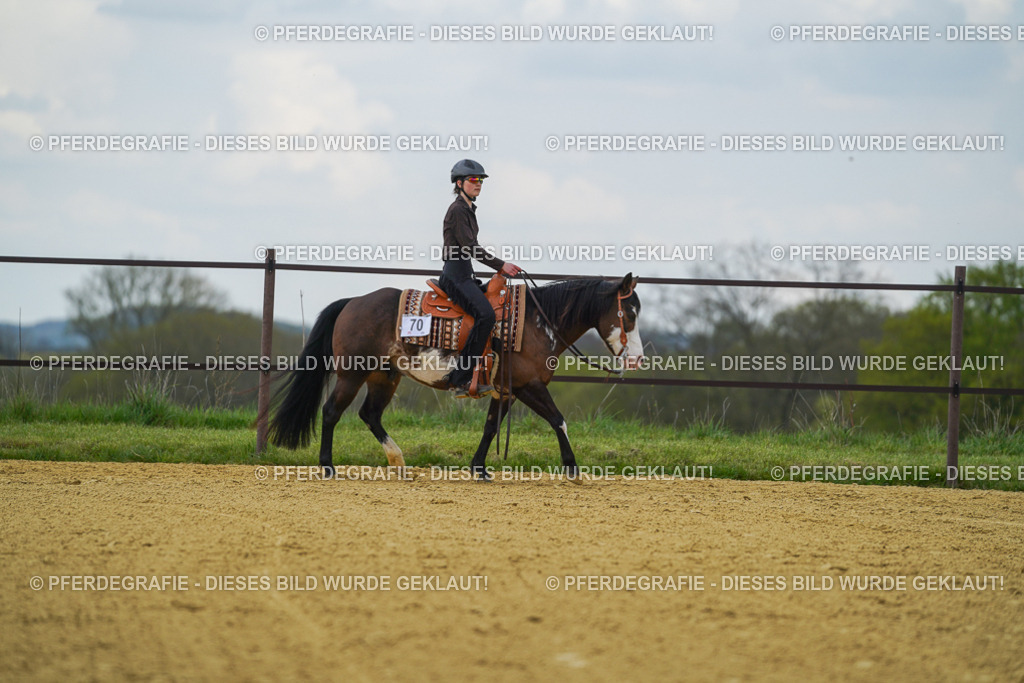 DSC06572 | Pferdegrafie