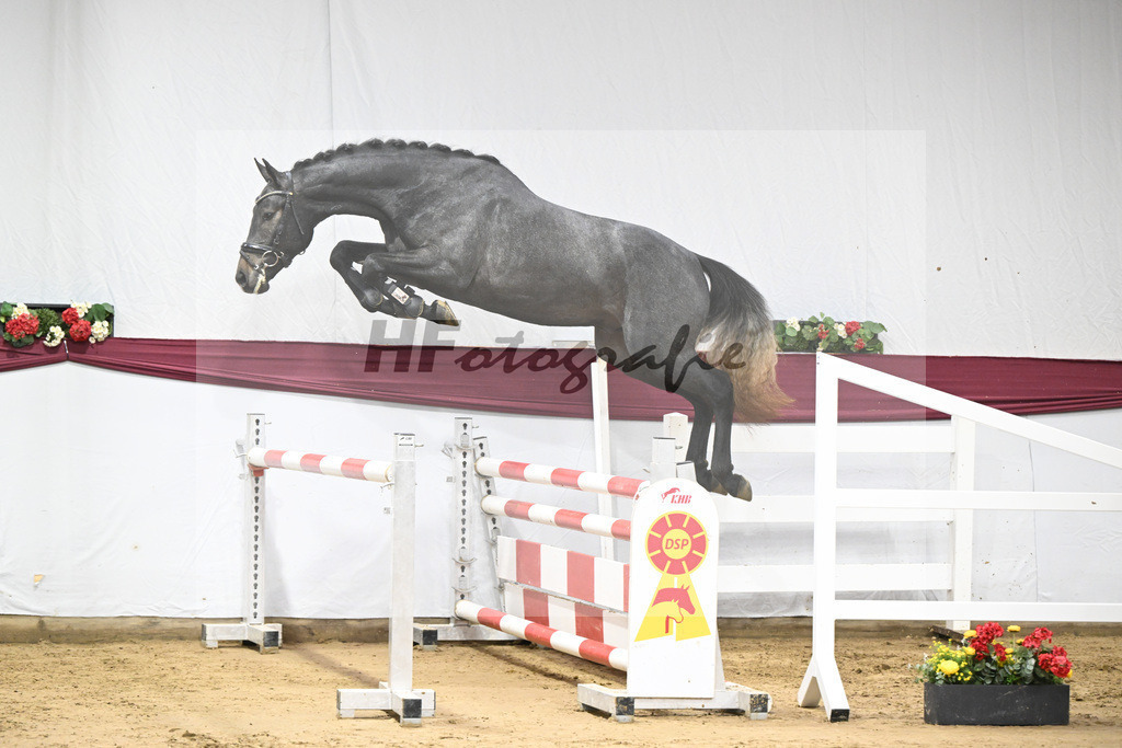 Kat-Nr. 87 Simply de Regor x Carano_PBM Pfefferle GmbH_47253042 | hf-fotografie - Realisiert mit Pictrs.com