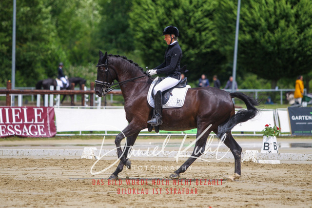 DKP40676 | Turniersportfotografie; Pferdefotografie; Dressurfotografie