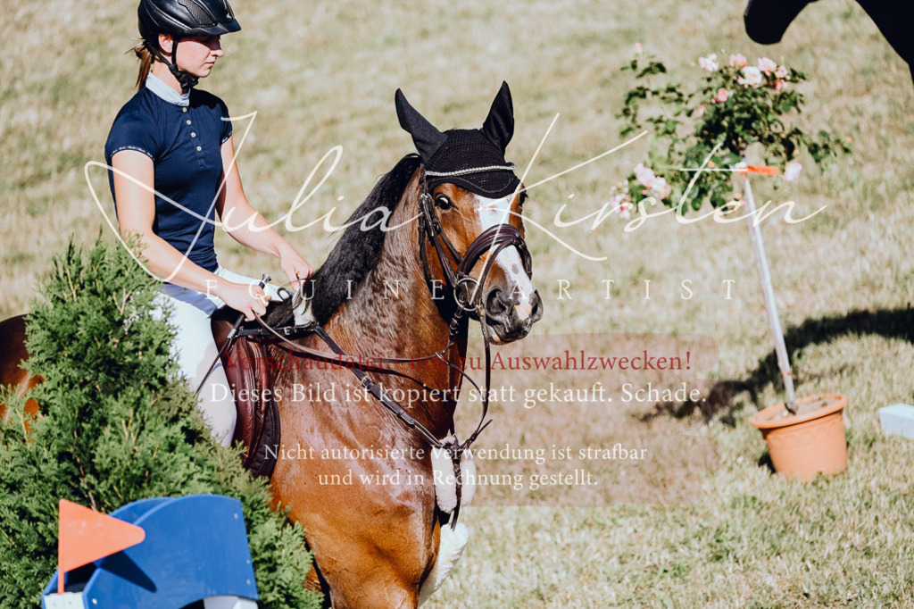 DSC_2013 | Pferde- und Turnierfotografie in Westsachsen. Pferdeportraits, Auftragszeichnungen und intuitive Kunst.