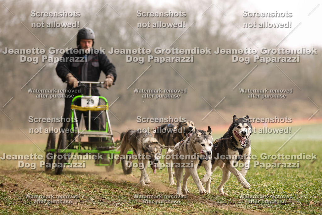 Dog Paparazzi - Plate 2026-103 | Dog Paparazzi Jeanette Grottendiek Fotografie & Videografie - Realisiert mit Pictrs.com