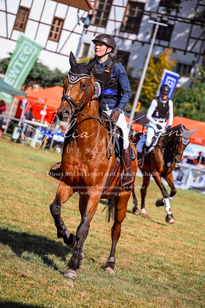 DSC_1196 | Pferde- und Turnierfotografie in Westsachsen. Pferdeportraits, Auftragszeichnungen und intuitive Kunst.
