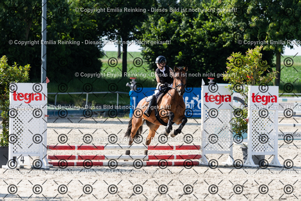 CL5A1182 | Emilia Reinking Fotografie - Realisiert mit Pictrs.com