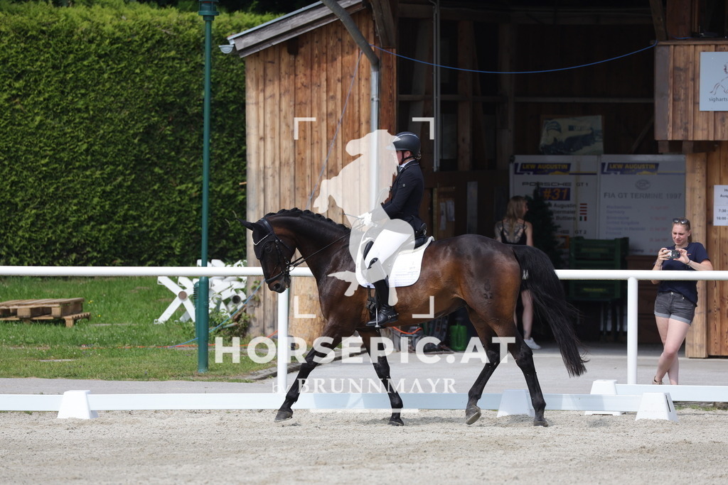 0P6A4802 | Willkommen bei Brunnmayr - Design & Fotografie – Ihrem Spezialisten für Reitturniere und Pferdeveranstaltungen in Oberösterreich, Salzburg und Bayern! Seit über 17 Jahren sind wir leidenschaftlich dabei.