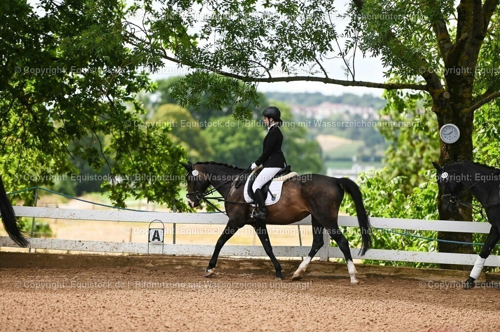 20230716_10-1_Reiter-WB Schritt - Trab - Galopp_0045 | equistock