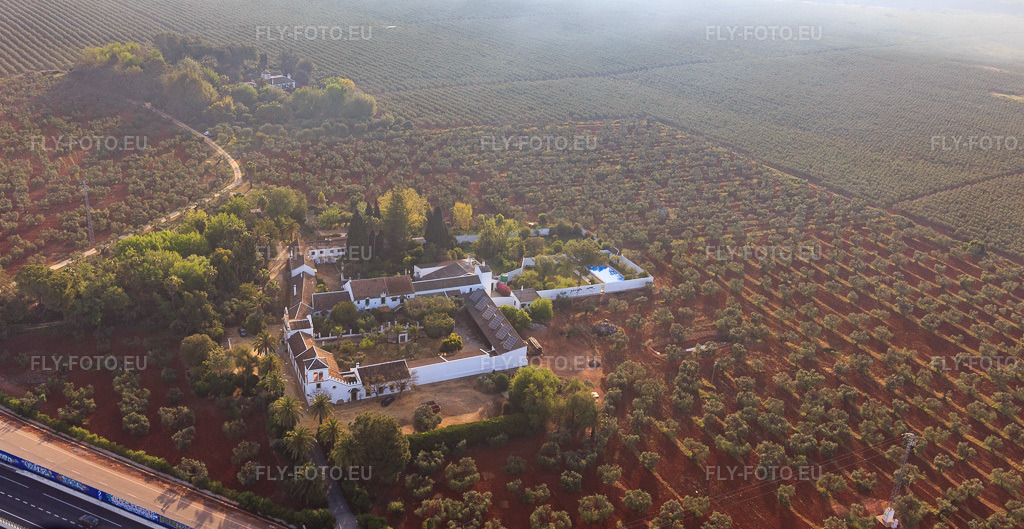 Vue aérienne: Hacienda nueva del Rosario entre les oliveraies sur l'autoroute A-4 del Sur à Dos Hermanas dans le département Séville, Espagne. Photo: IMG_145758.jpg prise le 22/04/2025 par Werner Riehm/FLY-FOTO.eu – Résolution de l'original: 5155 x 2661 px