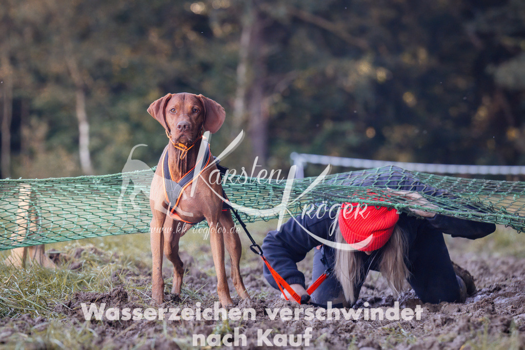 1051_ZZ92911 | kk-dogfotos