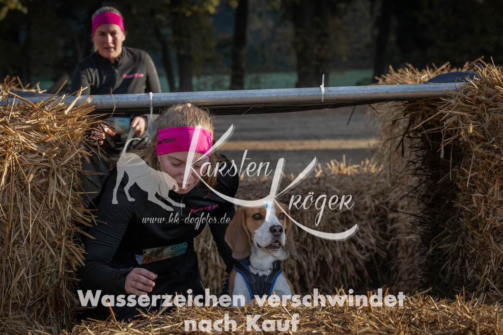 0944_ZZ94280 | kk-dogfotos