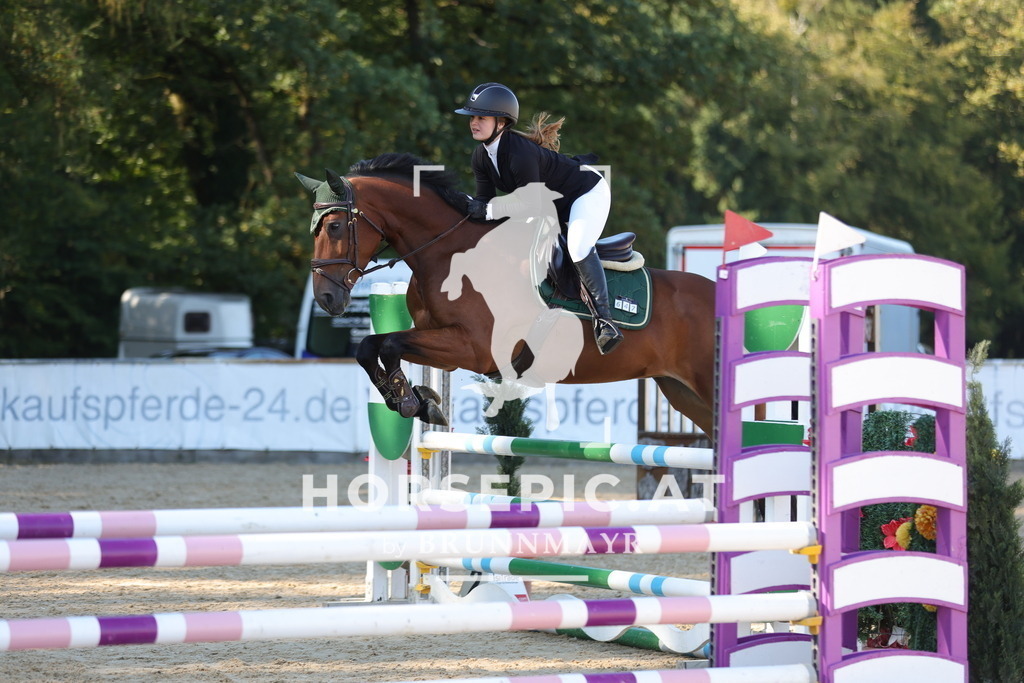 0P6A9658 | Willkommen bei Brunnmayr - Design & Fotografie – Ihrem Spezialisten für Reitturniere und Pferdeveranstaltungen in Oberösterreich, Salzburg und Bayern! Seit über 17 Jahren sind wir leidenschaftlich dabei.