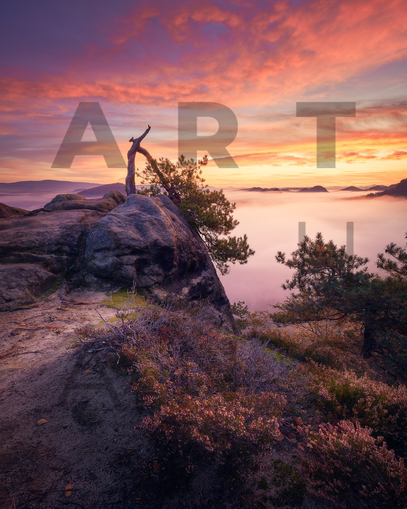 Ein Hans Fineart Original | Entdecke die Kunst von Hans Fineart - Fotografien für dein Zuhause. Verwandle deine Wände mit einzigartigen Kunstwerken und bringe die Schönheit der Welt in dein Leben. Bestelle jetzt und schaffe einen Ort der Inspiration und Eleganz.