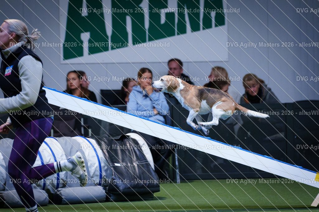 allesWIRTHgut_Tierfotografie-DVG_Agility_Masters_2026-14_50-7R505619 | Professionelle Tierfotografie in Mönchengladbach von Daniel Wirth (allesWIRTHgut). Liebevolle & natürliche Bilder von Hunden & Katzen für unvergessliche Erinnerungen.