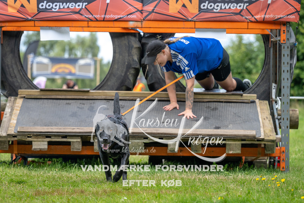 1230_ZZ93851 | kk-dogfotos