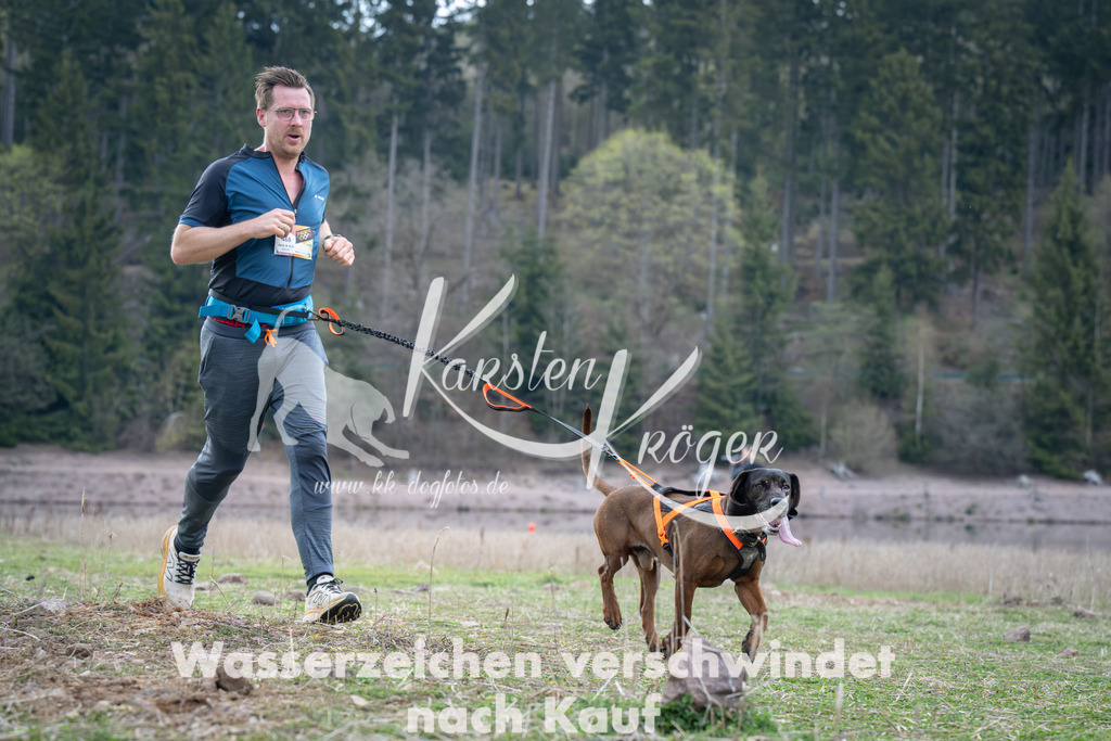 1817_ZZ95298 | kk-dogfotos