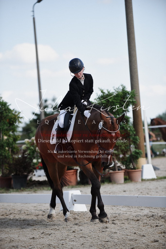 DSC_0014 | Pferde- und Turnierfotografie in Westsachsen. Pferdeportraits, Auftragszeichnungen und intuitive Kunst.