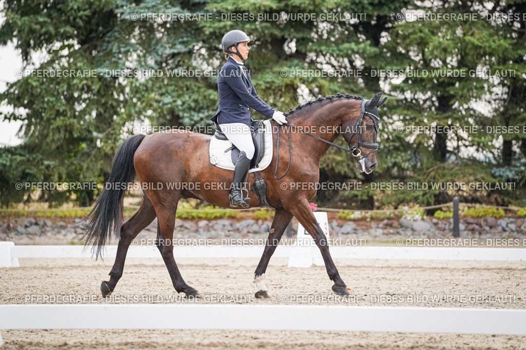 DSC00337 | Pferdegrafie