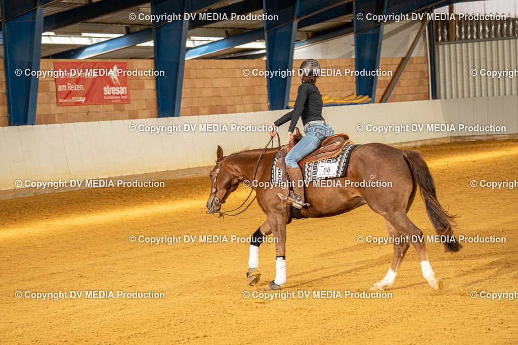 MIT00819 | dv-media-shop - Realisiert mit Pictrs.com