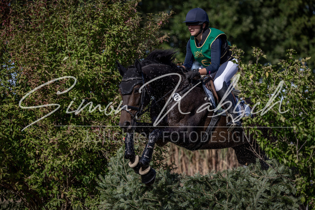 20260906-_3LI6402 | Tierfotografie Pferde, Hunde, Katzen, Haustiere.
Turnierfotografie Reitturniere, Reiten, Springreiten, Dressur in Hanau, dem Main-Kinzig-Kreis und dem Rhein-Main- Gebiet um Frankfurt