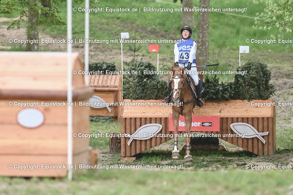 20230513_CCI4_Gelände_0533 | equistock