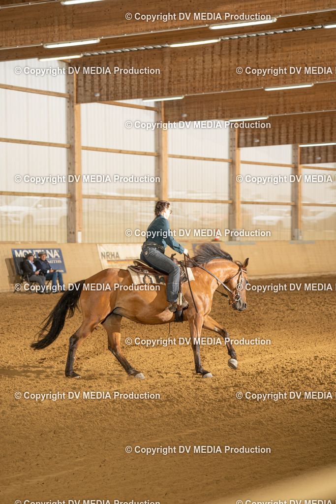 LAU00532 | dv-media-shop - Realisiert mit Pictrs.com