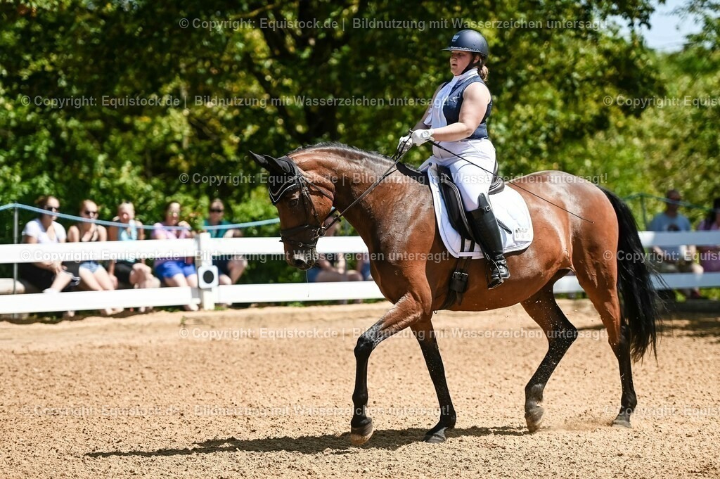 20230715_02_Dressurreiterprüfung Kl.L_0005 | equistock