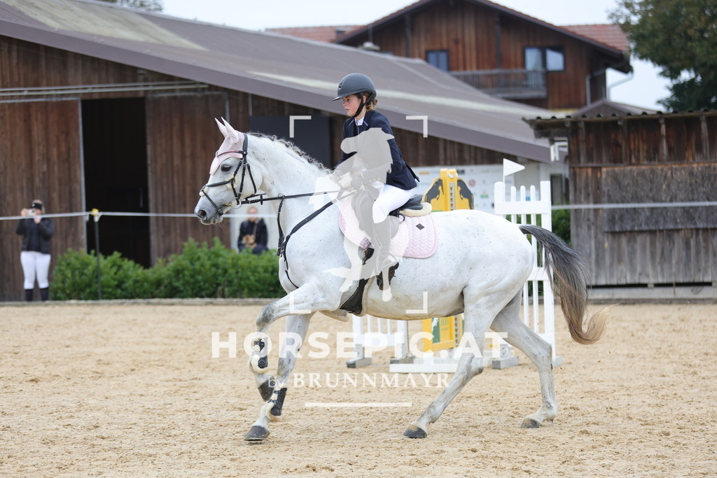 0P6A1295 | Willkommen bei Brunnmayr - Design & Fotografie – Ihrem Spezialisten für Reitturniere und Pferdeveranstaltungen in Oberösterreich, Salzburg und Bayern! Seit über 17 Jahren sind wir leidenschaftlich dabei.