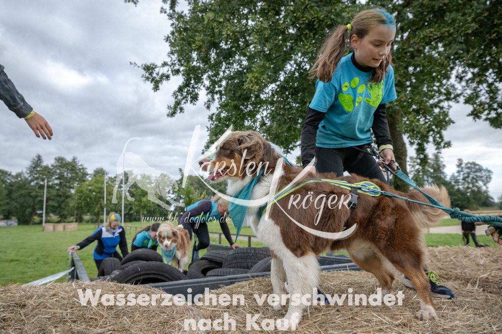 0952_ZZ91670 | kk-dogfotos