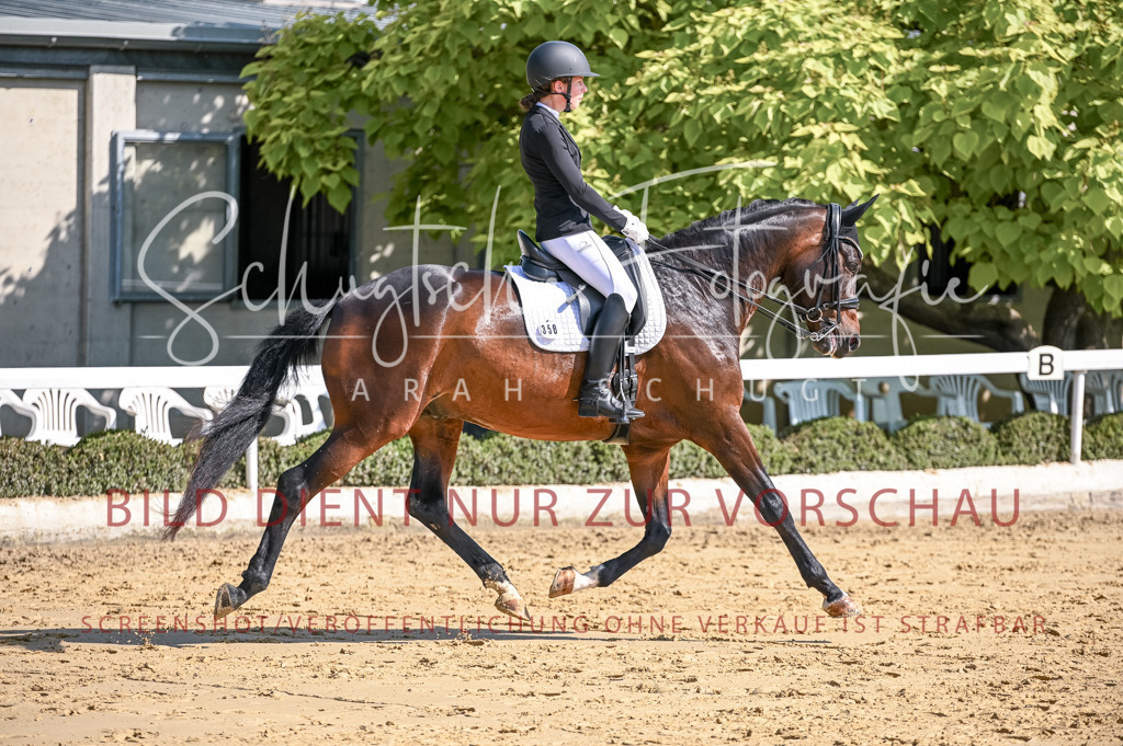 Schugtsche-Aluta25-52.Dressurprf.M2Kand-423 | Schugtsche Fotografie - Realisiert mit Pictrs.com