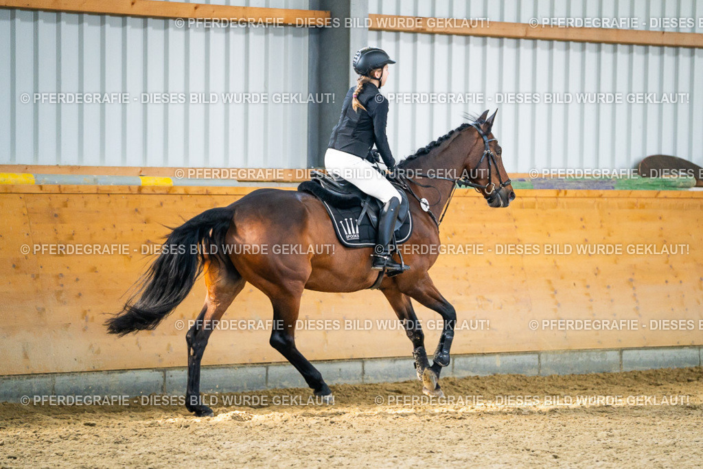 DSC01134 | Pferdegrafie