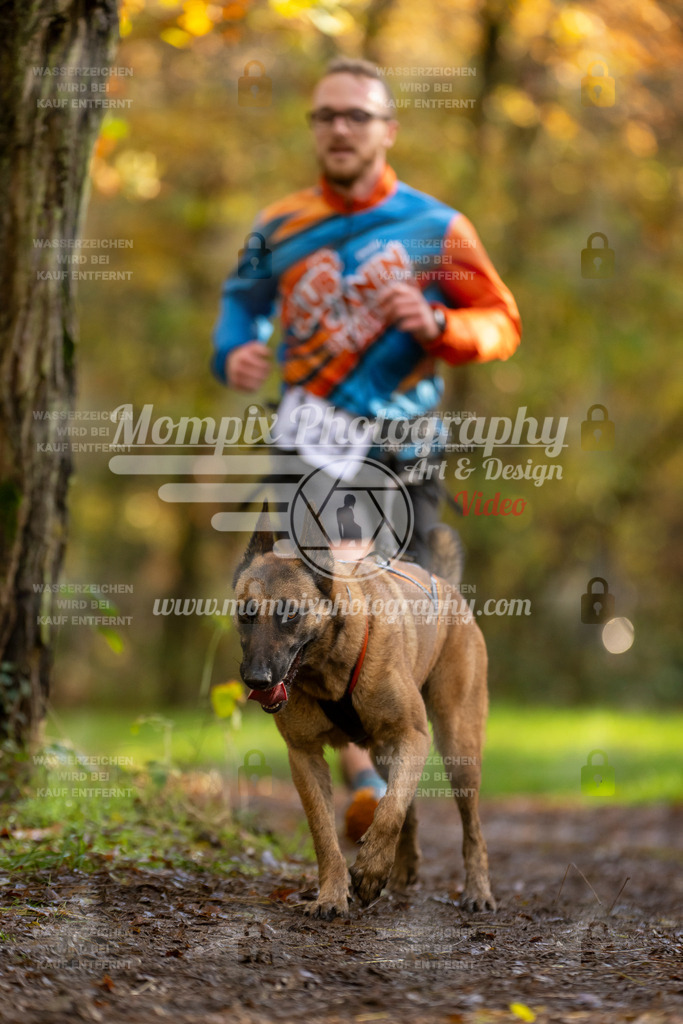MompixPhotography_Bischwiller23_Canicross-118 | PayLife