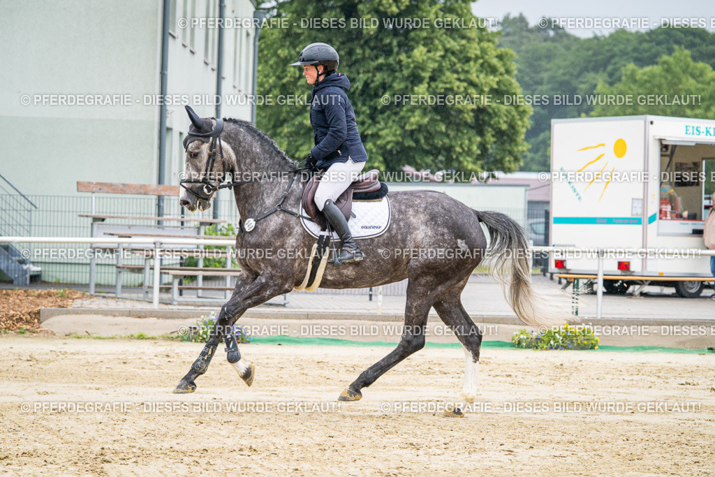 DSC01583 | Pferdegrafie