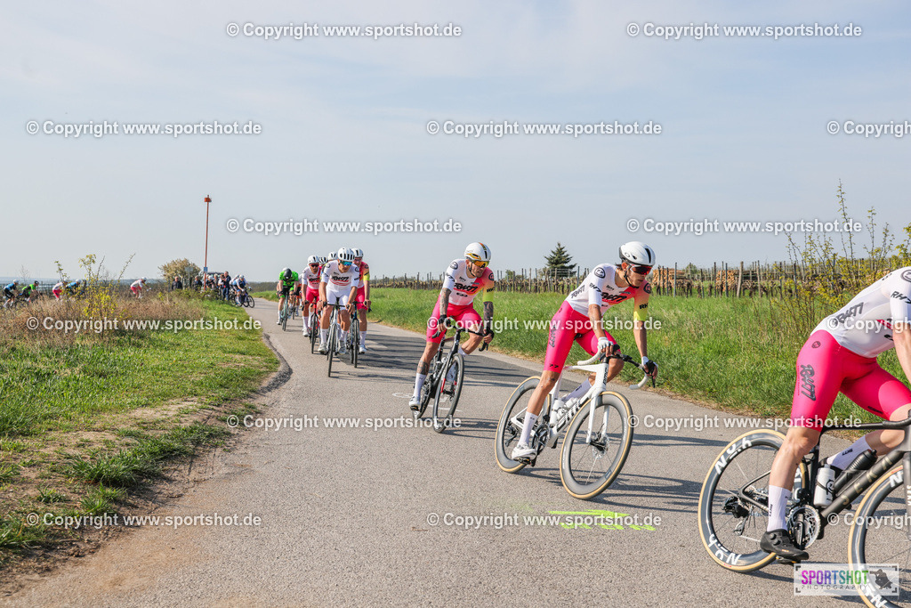 007A8577 | Neusiedlersee Radmarathon #neusiedlerseeradmarathon #neusiedlersee #nrm26 #yourpictrs #sportshot_your_pictrs