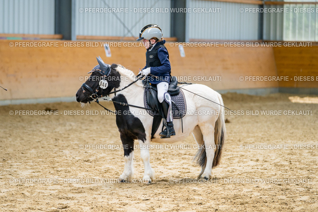 DSC01499 | Pferdegrafie