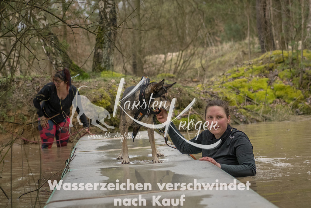 1037_ZZ93053-Bearbeitet | kk-dogfotos
