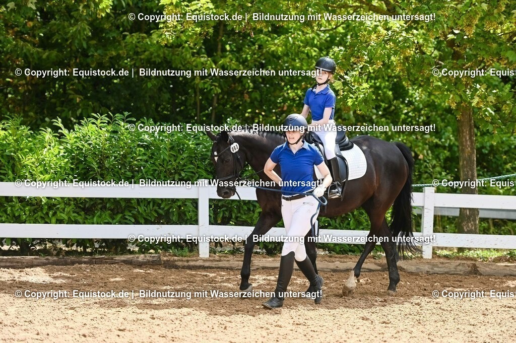 20230716_11_Führzügel-WB_0058 | equistock