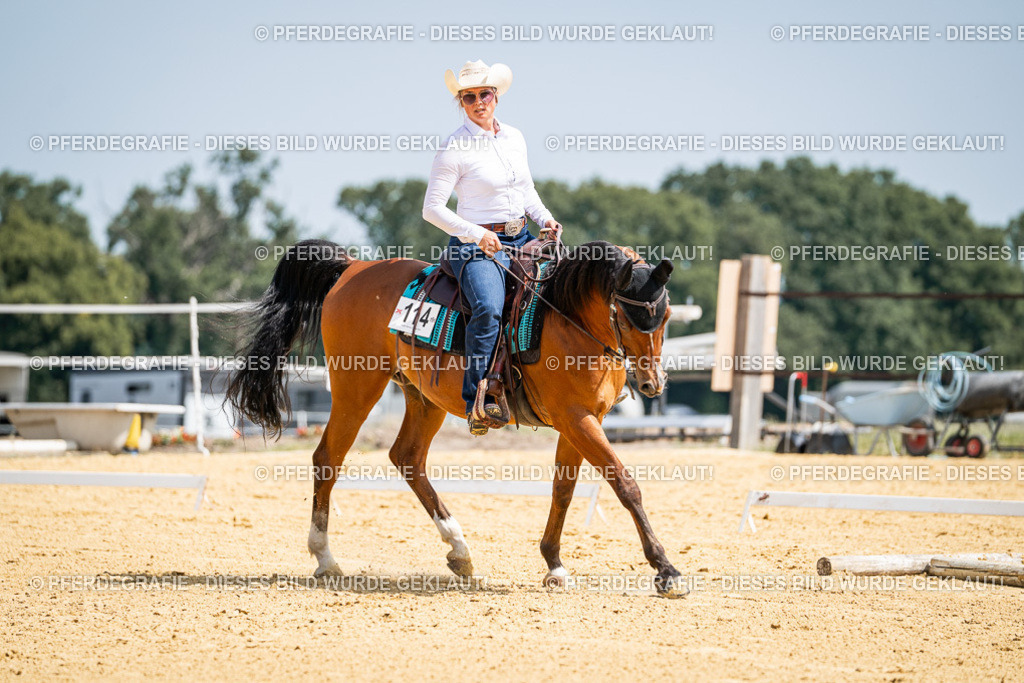 DSC00437 | Pferdegrafie