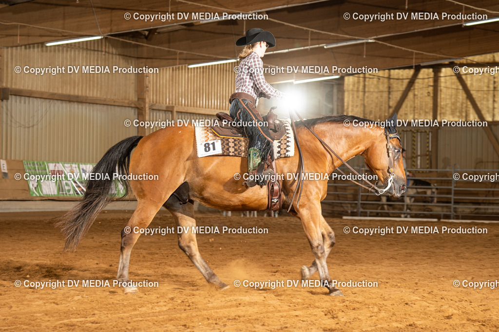 NID01492 | dv-media-shop - Realisiert mit Pictrs.com