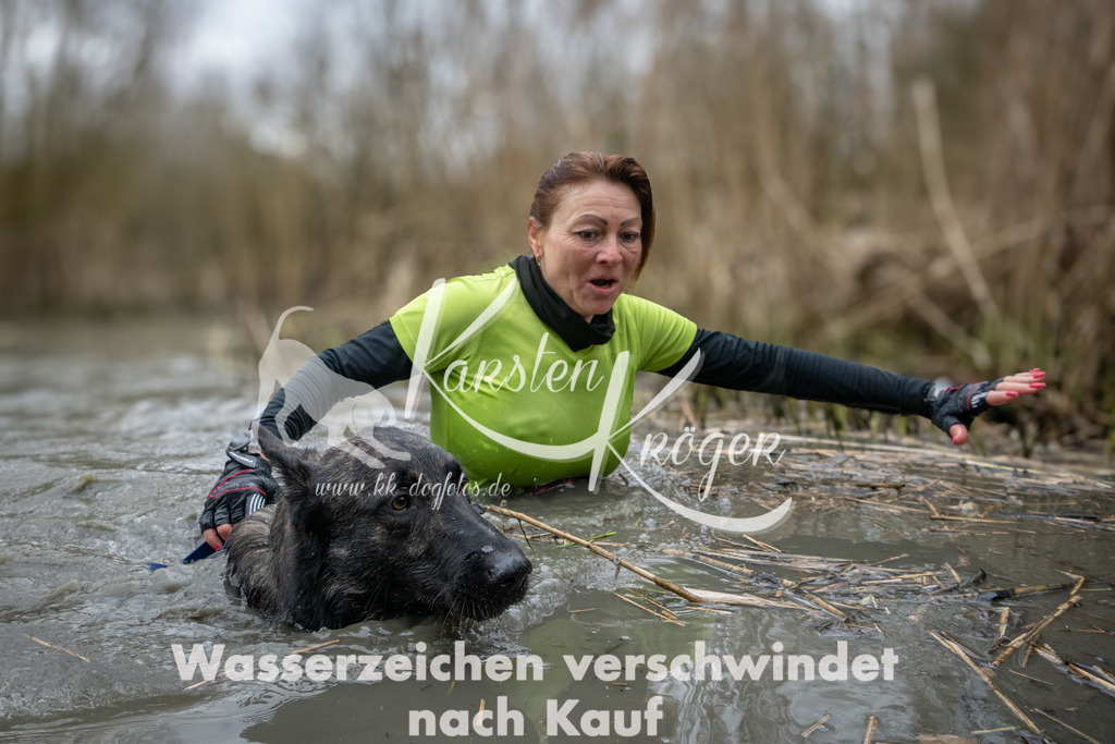 1111_ZZ97132 | kk-dogfotos