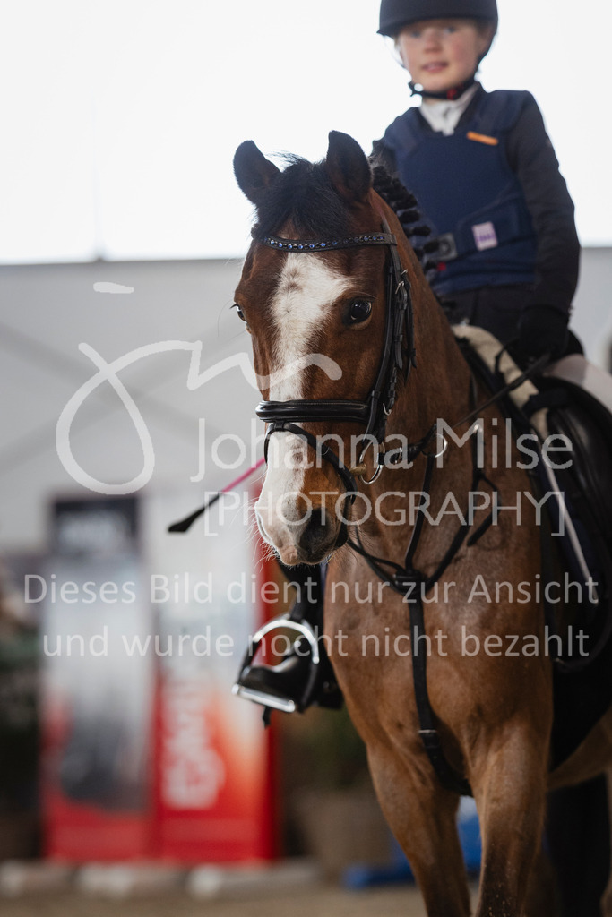 240316_Borgholzhausen_SpringWB-303 | Deine schönsten Turniermomente als professionelle Fotos! Entdecke hochwertige Pferdesport-Fotografie im Online-Shop. Jetzt Fotos finden & bestellen!